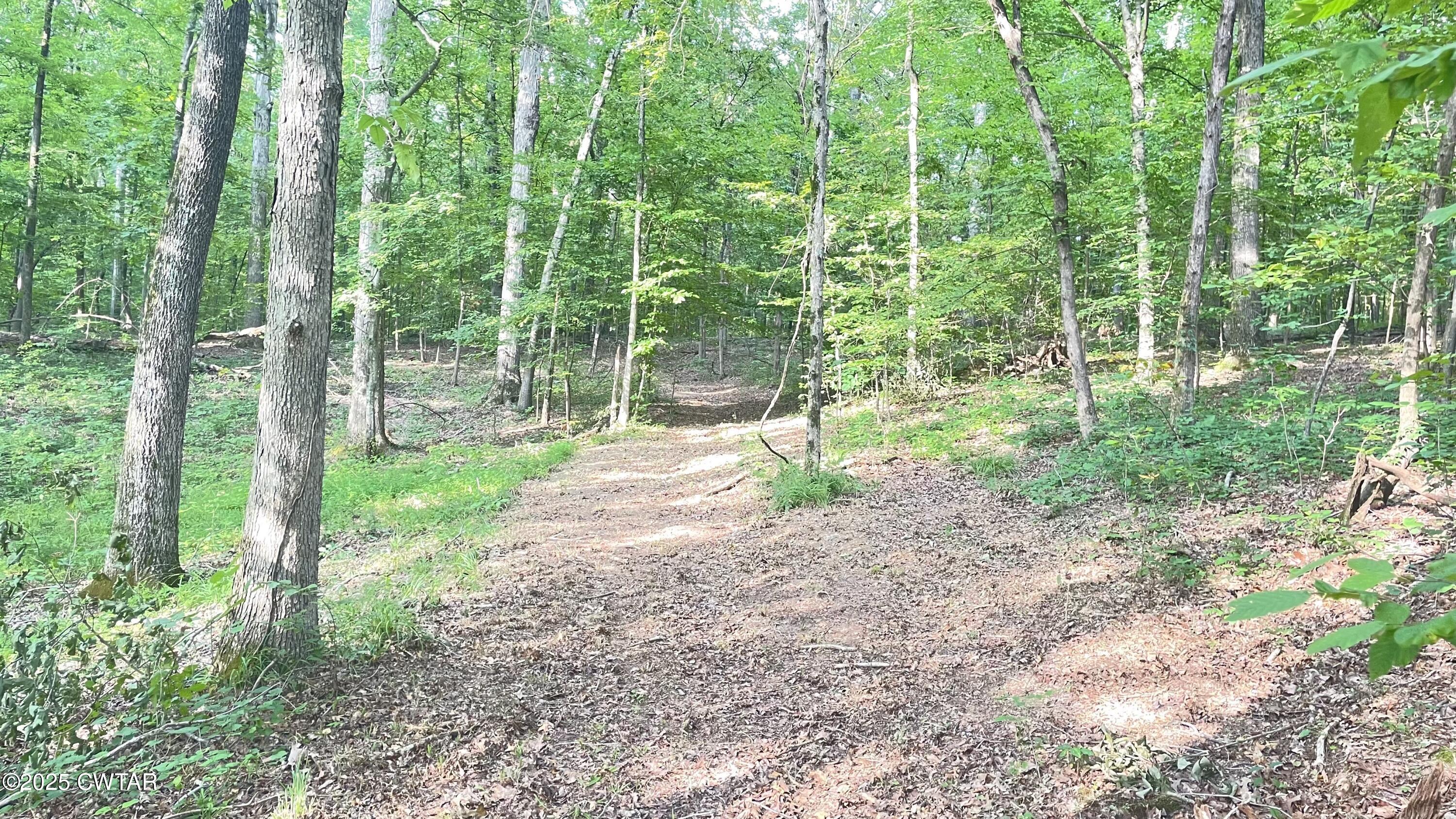 3922 Old Medina Road Medina, TN 38355 - Photo 50 of 51 a view of a yard with plants and trees