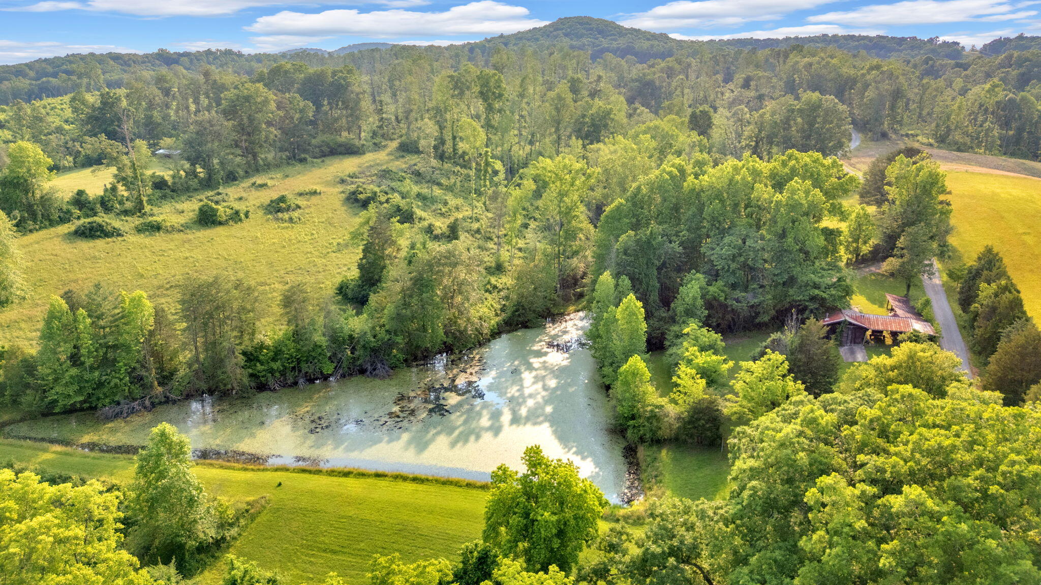 596 Clifty Creek Road Oakdale, TN 37829 - Photo 36 of 60 19-web-or-mls-DJI_20250531183541_0715_D