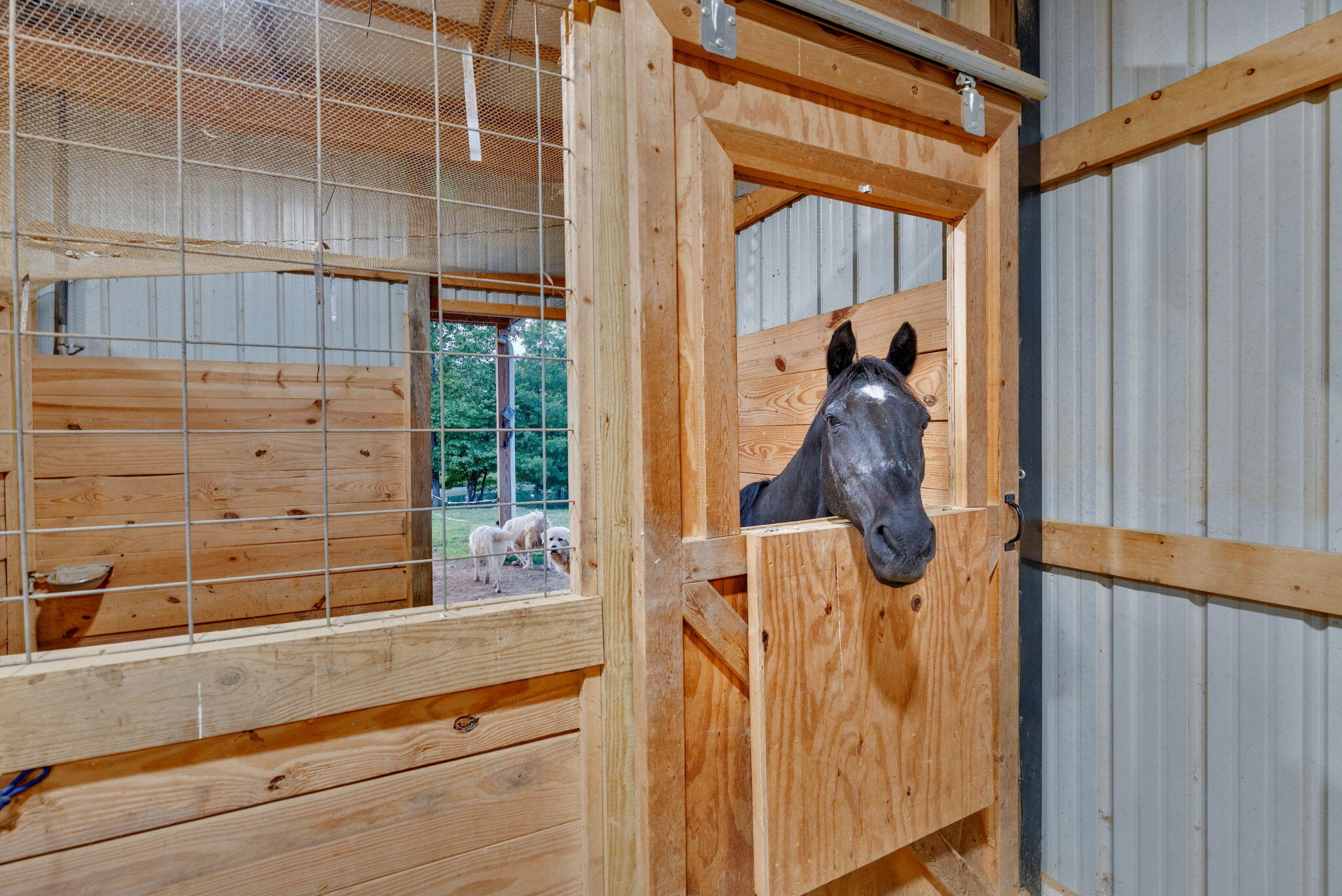 596 Clifty Creek Road Oakdale, TN 37829 - Photo 5 of 60 101-web-or-mls-DSC01548