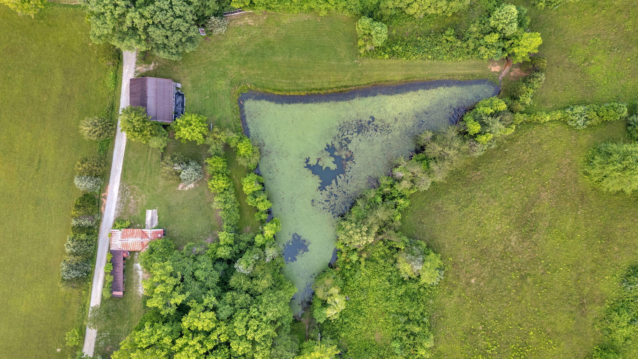 596 Clifty Creek Road Oakdale, TN 37829 - Photo 54 of 60 53-web-or-mls-DJI_20250531203841_0913_D