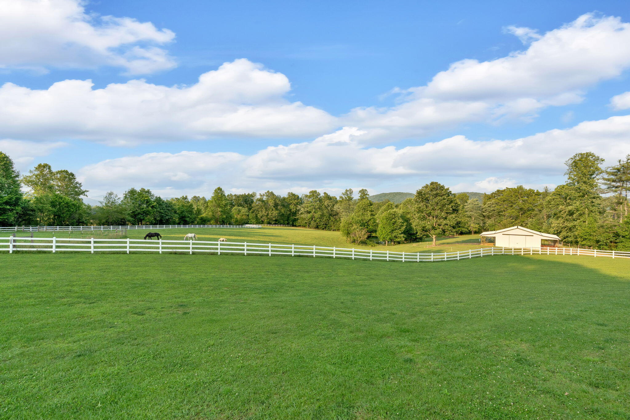 596 Clifty Creek Road Oakdale, TN 37829 - Photo 59 of 60 57-web-or-mls-DSC01410