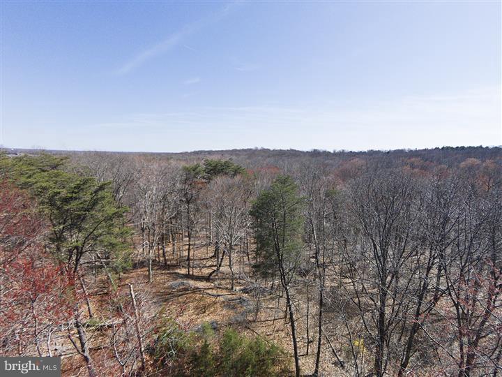 148 Larrison Road Wrightstown, NJ 08562 - Photo 12 of 25 Gallery Image 12