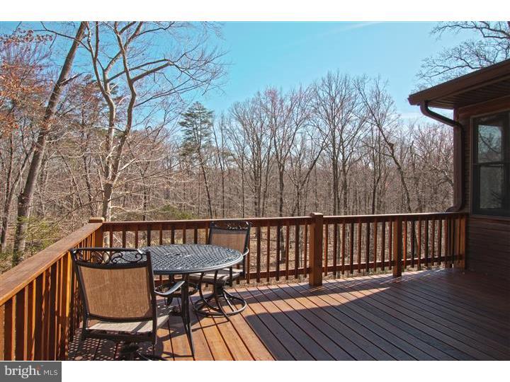 148 Larrison Road Wrightstown, NJ 08562 - Photo 19 of 25 Gallery Image 19