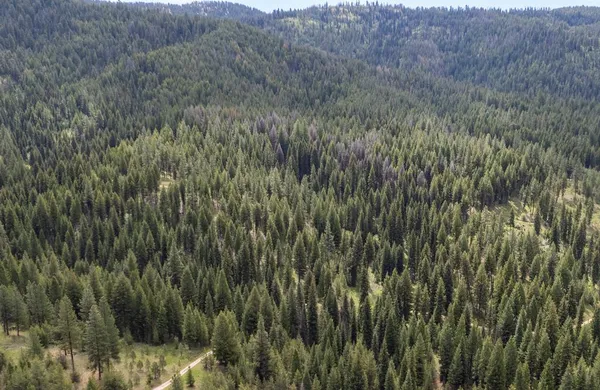$233,325 | 38 Clear Creek Road, Cascade, ID 83611