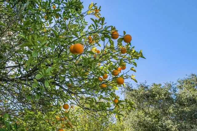 $8,300 | 1051 Via Rancho Parkway, Escondido, CA 92029