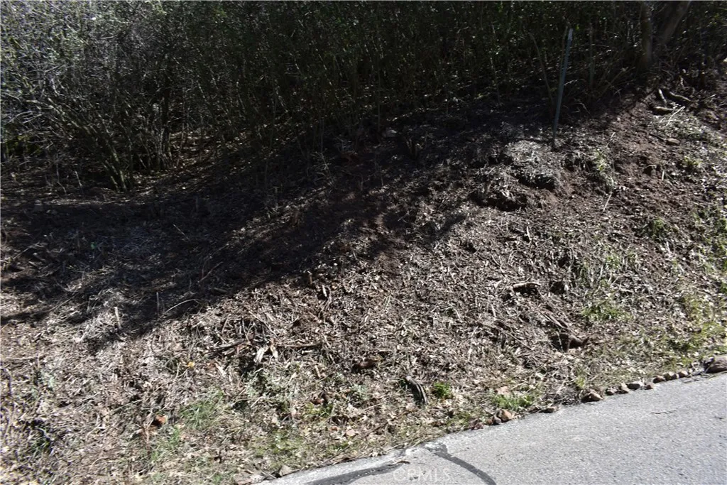 0 Oak Julian, CA 92036 - Photo 11 of 28 a view of a yard