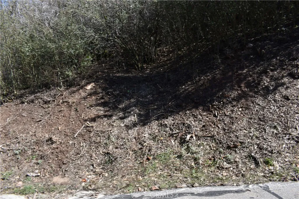 0 Oak Julian, CA 92036 - Photo 12 of 28 a view of a dry yard with large trees