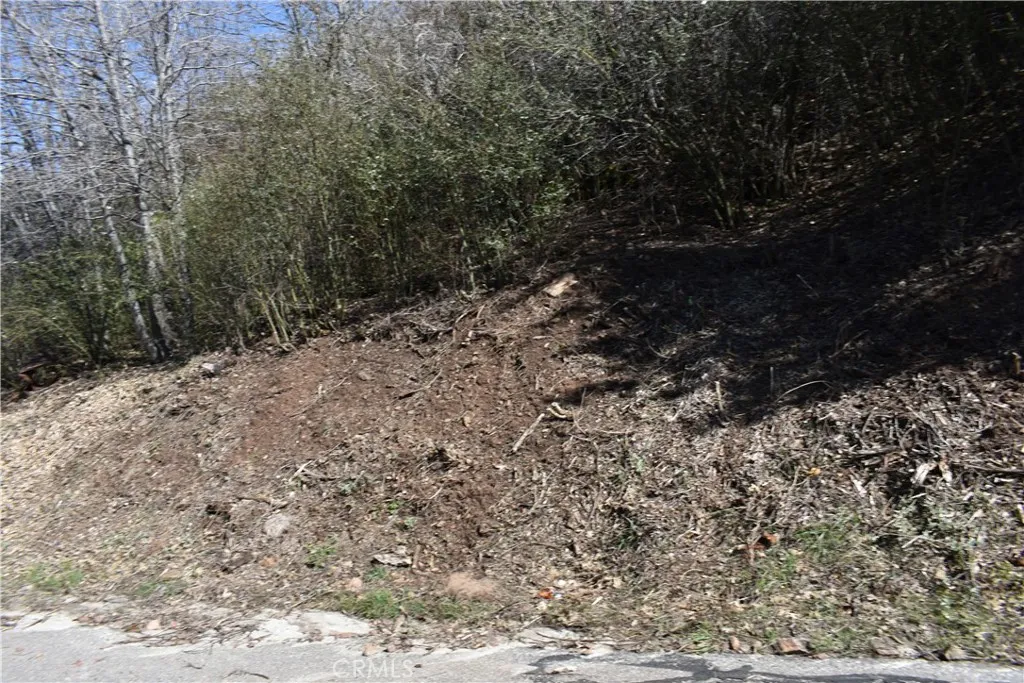 0 Oak Julian, CA 92036 - Photo 13 of 28 a view of a yard