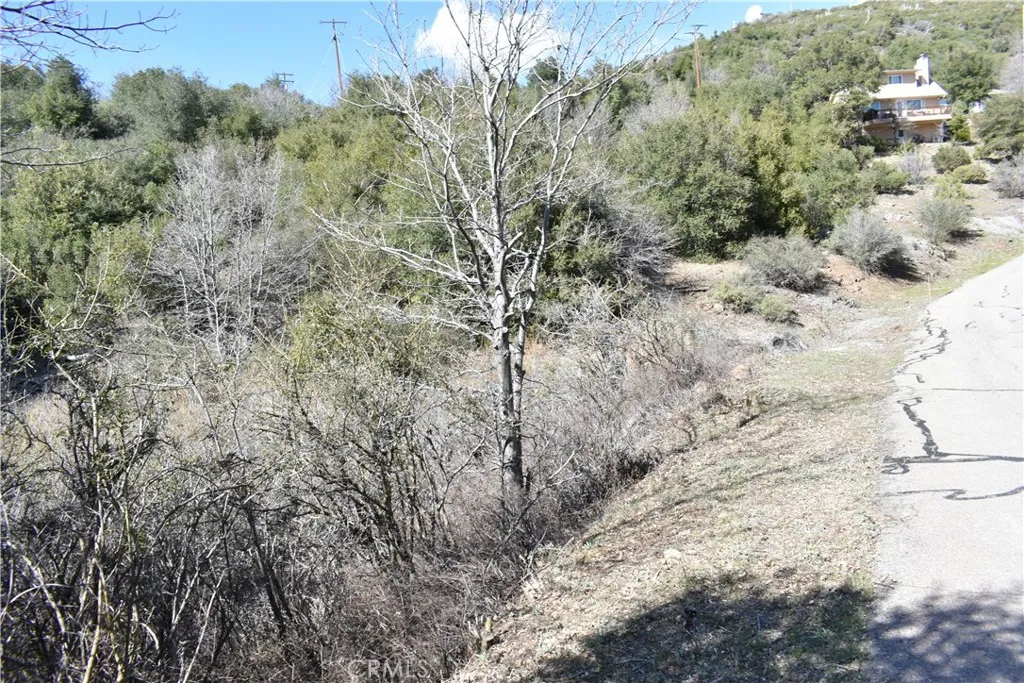 0 Oak Julian, CA 92036 - Photo 14 of 28 a view of a forest with a yard