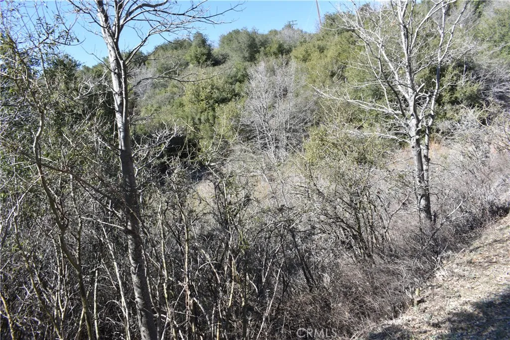 0 Oak Julian, CA 92036 - Photo 17 of 28 a view of a yard with a tree