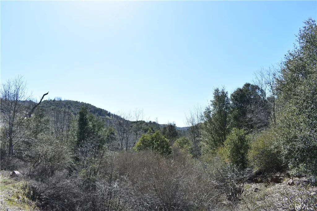 0 Oak Julian, CA 92036 - Photo 2 of 28 a view of a dry field