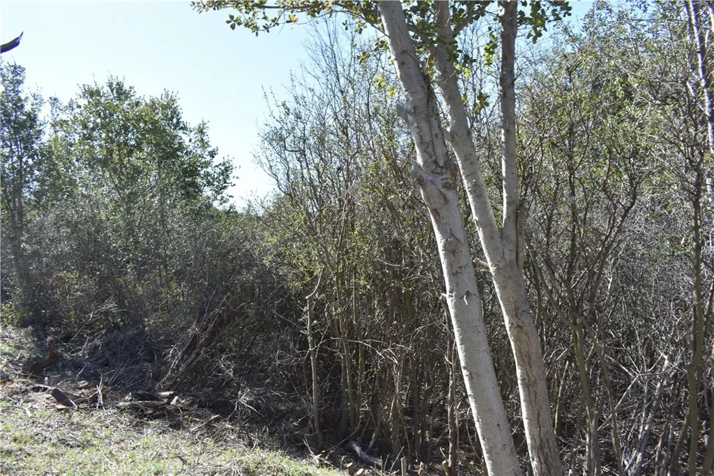 0 Oak Julian, CA 92036 - Photo 22 of 28 a view of a backyard of the house