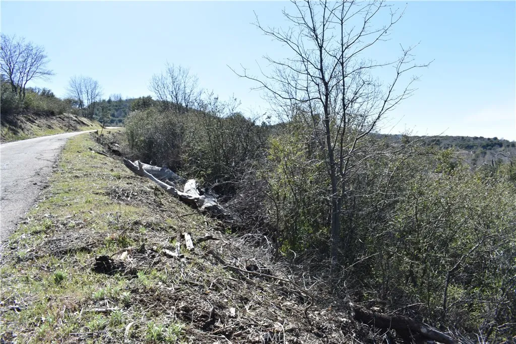 0 Oak Julian, CA 92036 - Photo 25 of 28 a view of a forest filled with trees