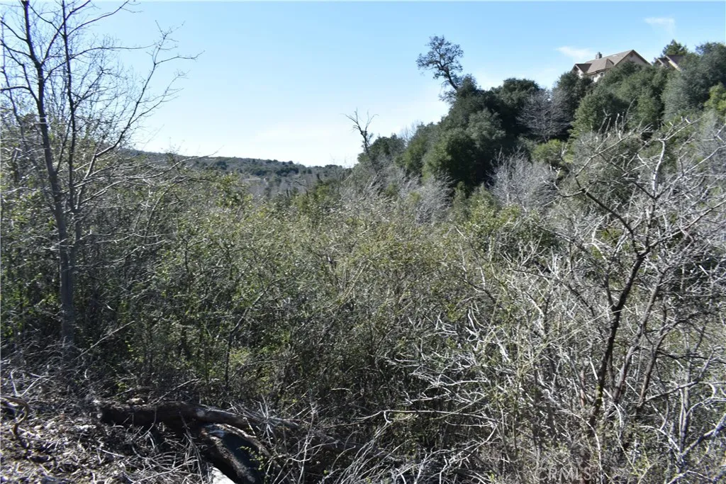 0 Oak Julian, CA 92036 - Photo 28 of 28 a view of a forest with a tree in the background