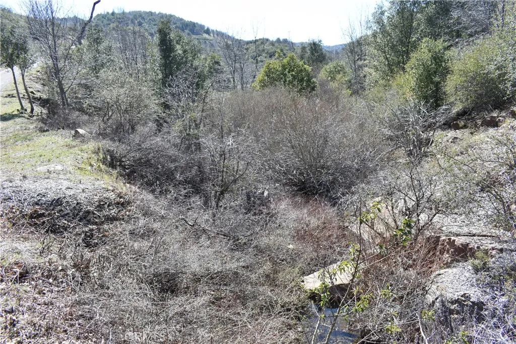 0 Oak Julian, CA 92036 - Photo 5 of 28 a view of a dry yard with trees