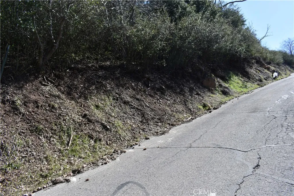 0 Oak Julian, CA 92036 - Photo 7 of 28 a view of a yard with plants and trees