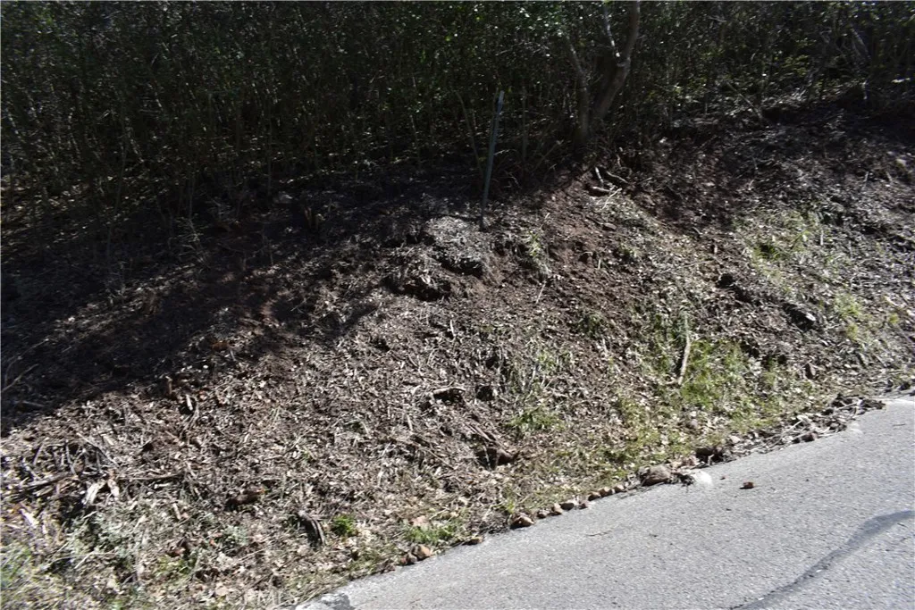 0 Oak Julian, CA 92036 - Photo 10 of 28 a view of outdoor space and a yard
