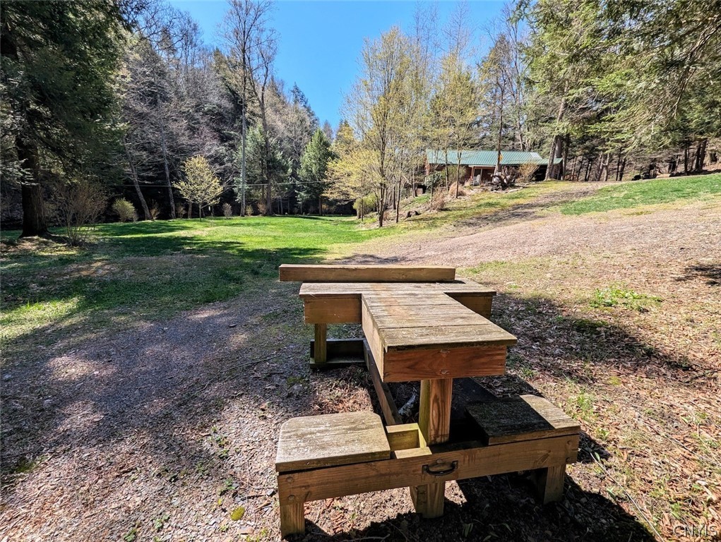Frost Road Dansville, NY 14437 - Photo 16 of 50