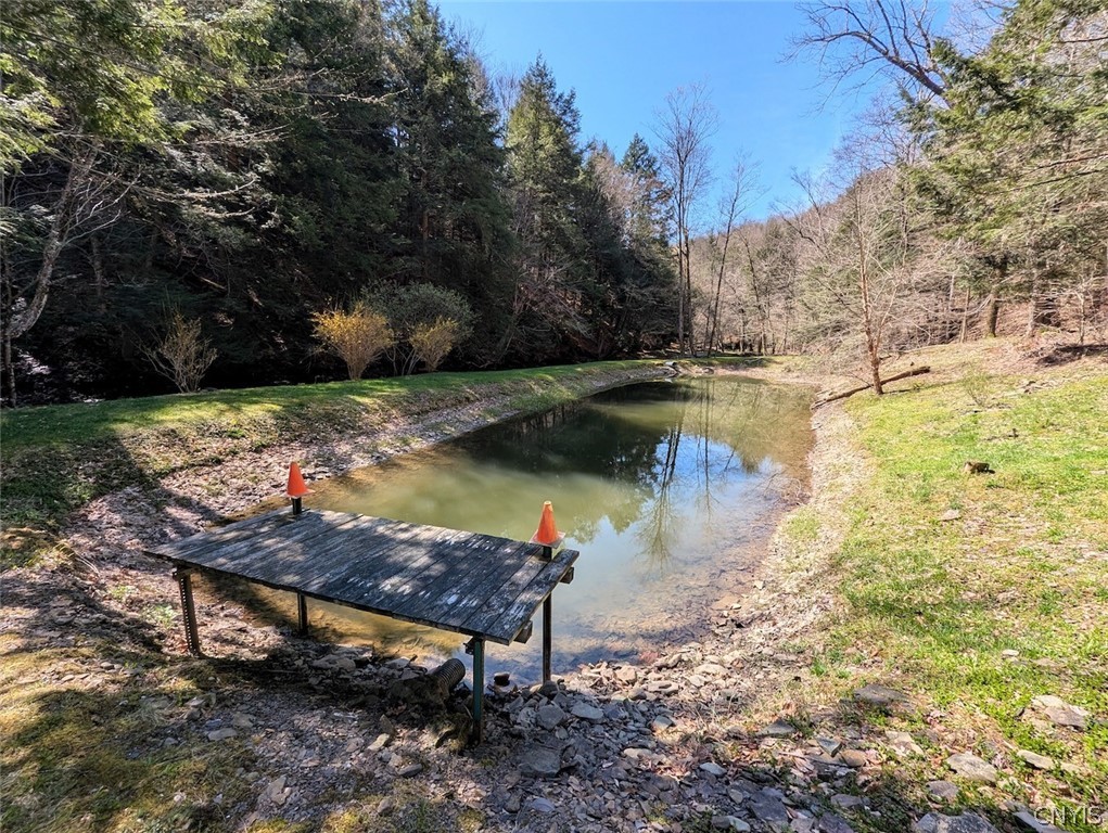 Frost Road Dansville, NY 14437 - Photo 18 of 50