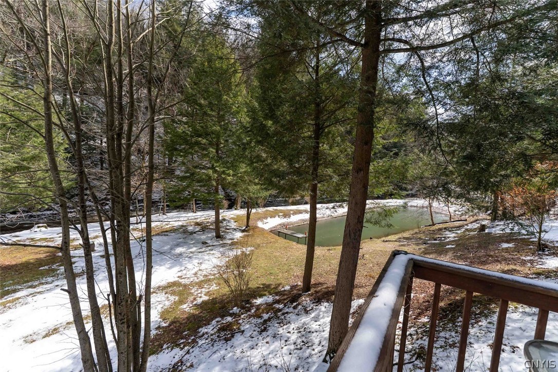 Frost Road Dansville, NY 14437 - Photo 19 of 50
