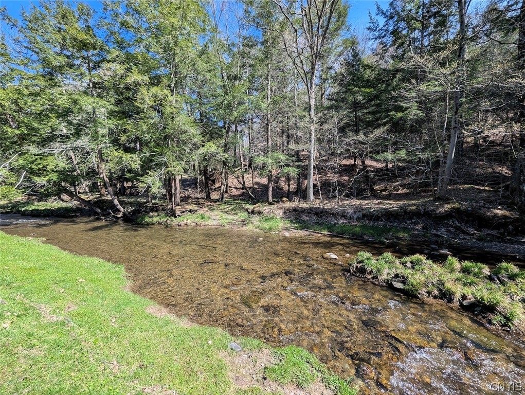 Frost Road Dansville, NY 14437 - Photo 20 of 50