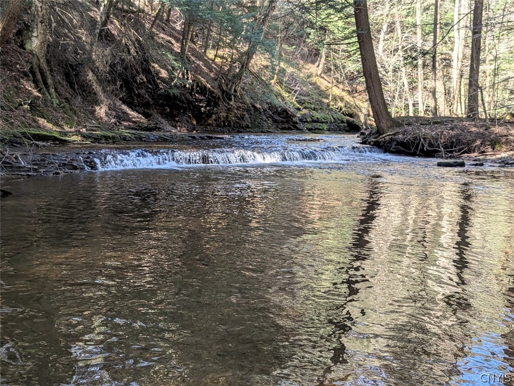 Frost Road Dansville, NY 14437 - Photo 21 of 50