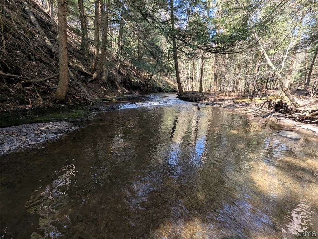 Frost Road Dansville, NY 14437 - Photo 22 of 50