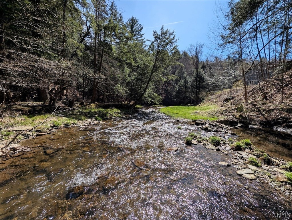 Frost Road Dansville, NY 14437 - Photo 23 of 50