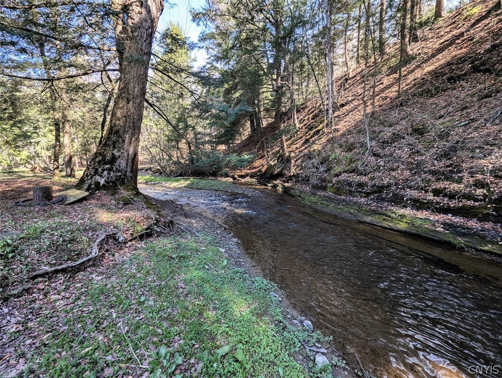 Frost Road Dansville, NY 14437 - Photo 24 of 50