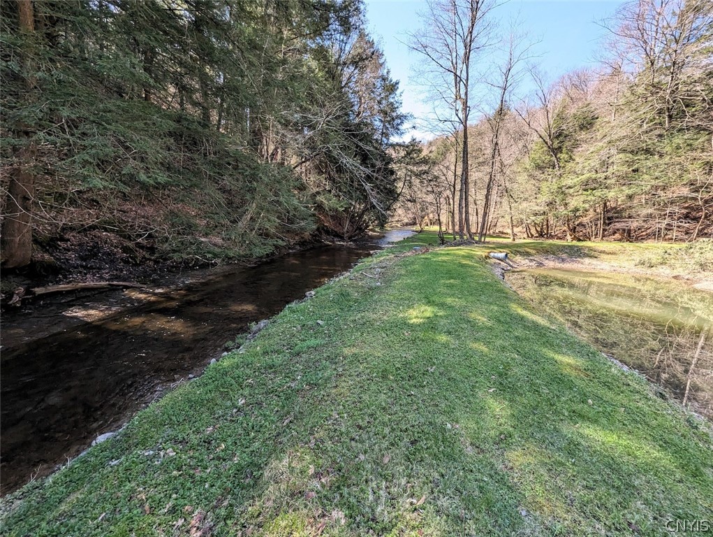 Frost Road Dansville, NY 14437 - Photo 25 of 50