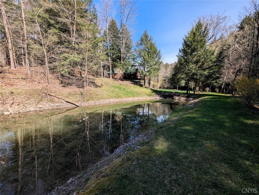 Frost Road Dansville, NY 14437 - Photo 26 of 50