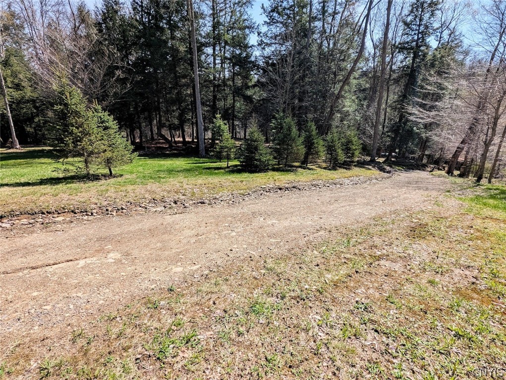 Frost Road Dansville, NY 14437 - Photo 33 of 50