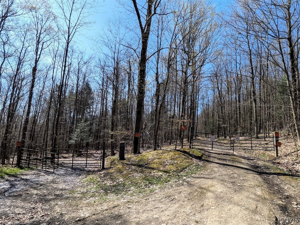 Frost Road Dansville, NY 14437 - Photo 35 of 50