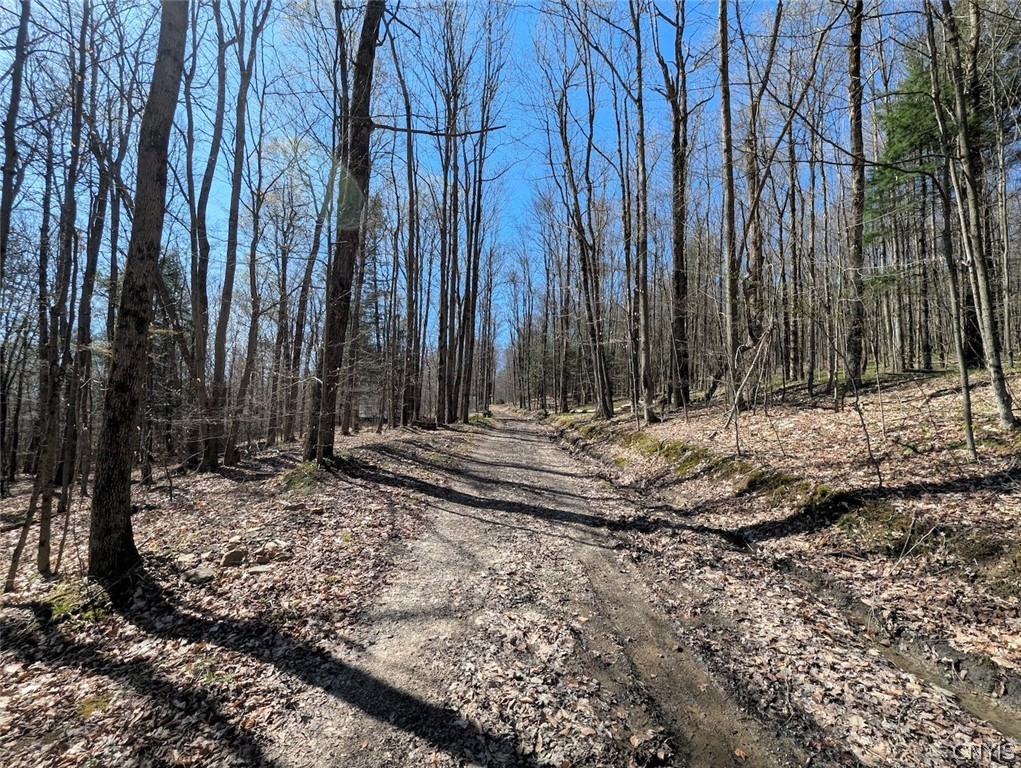 Frost Road Dansville, NY 14437 - Photo 36 of 50