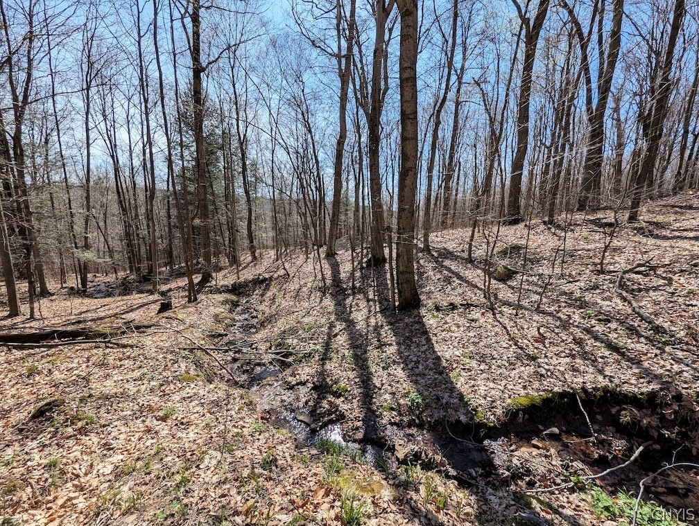 Frost Road Dansville, NY 14437 - Photo 37 of 50