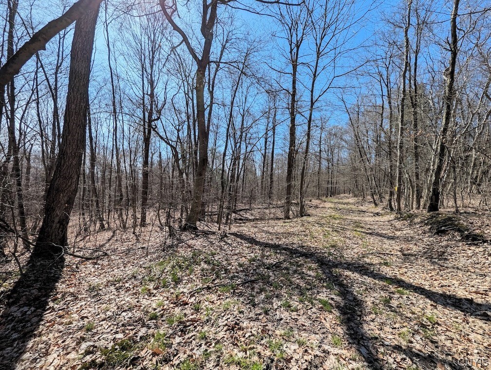 Frost Road Dansville, NY 14437 - Photo 39 of 50