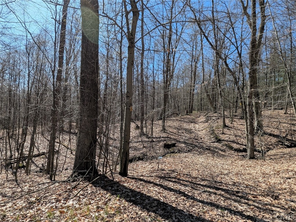 Frost Road Dansville, NY 14437 - Photo 40 of 50