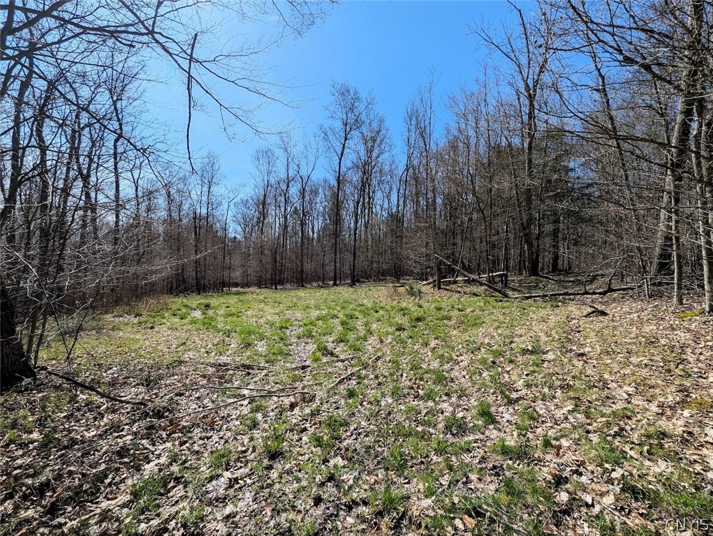 Frost Road Dansville, NY 14437 - Photo 42 of 50