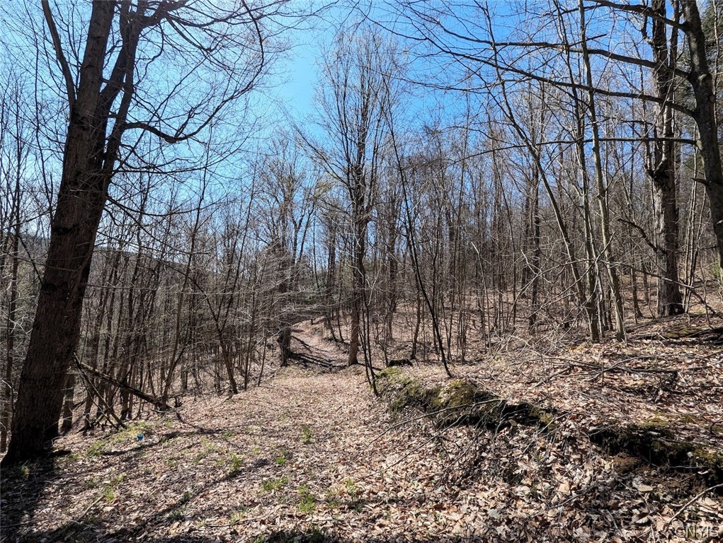 Frost Road Dansville, NY 14437 - Photo 46 of 50