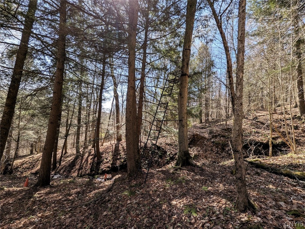 Frost Road Dansville, NY 14437 - Photo 47 of 50