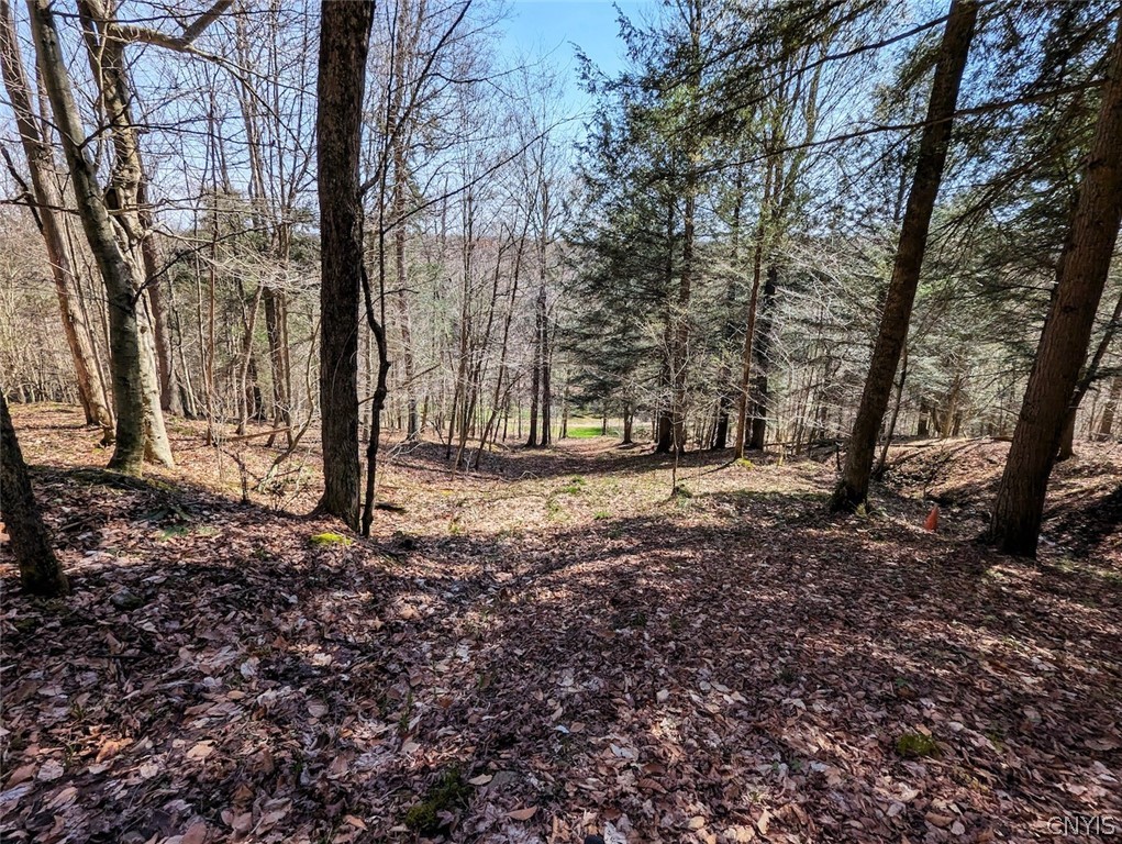 Frost Road Dansville, NY 14437 - Photo 48 of 50