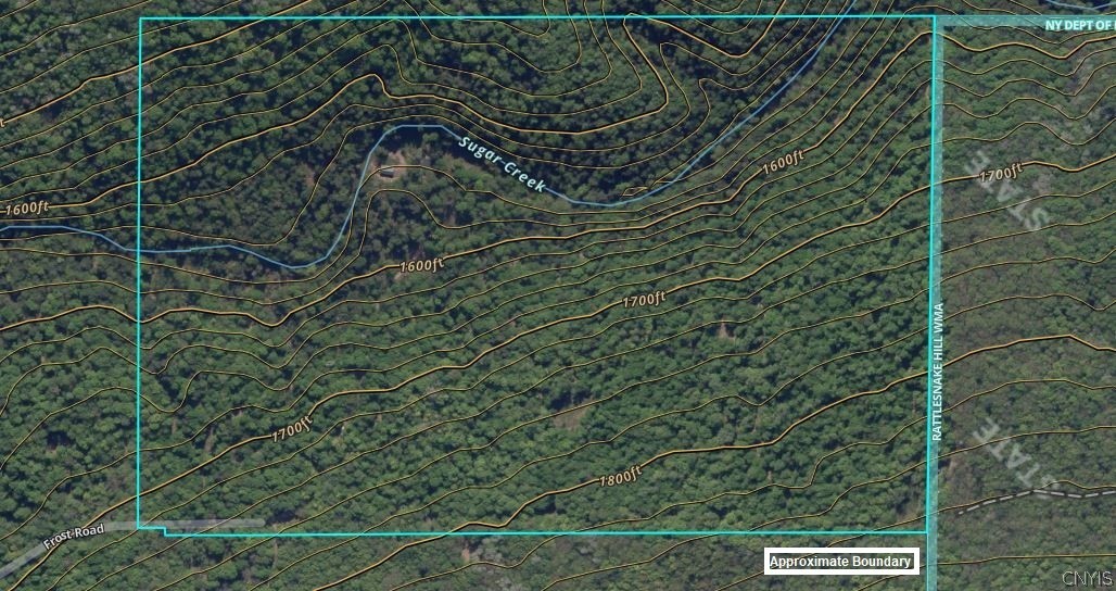 Frost Road Dansville, NY 14437 - Photo 49 of 50