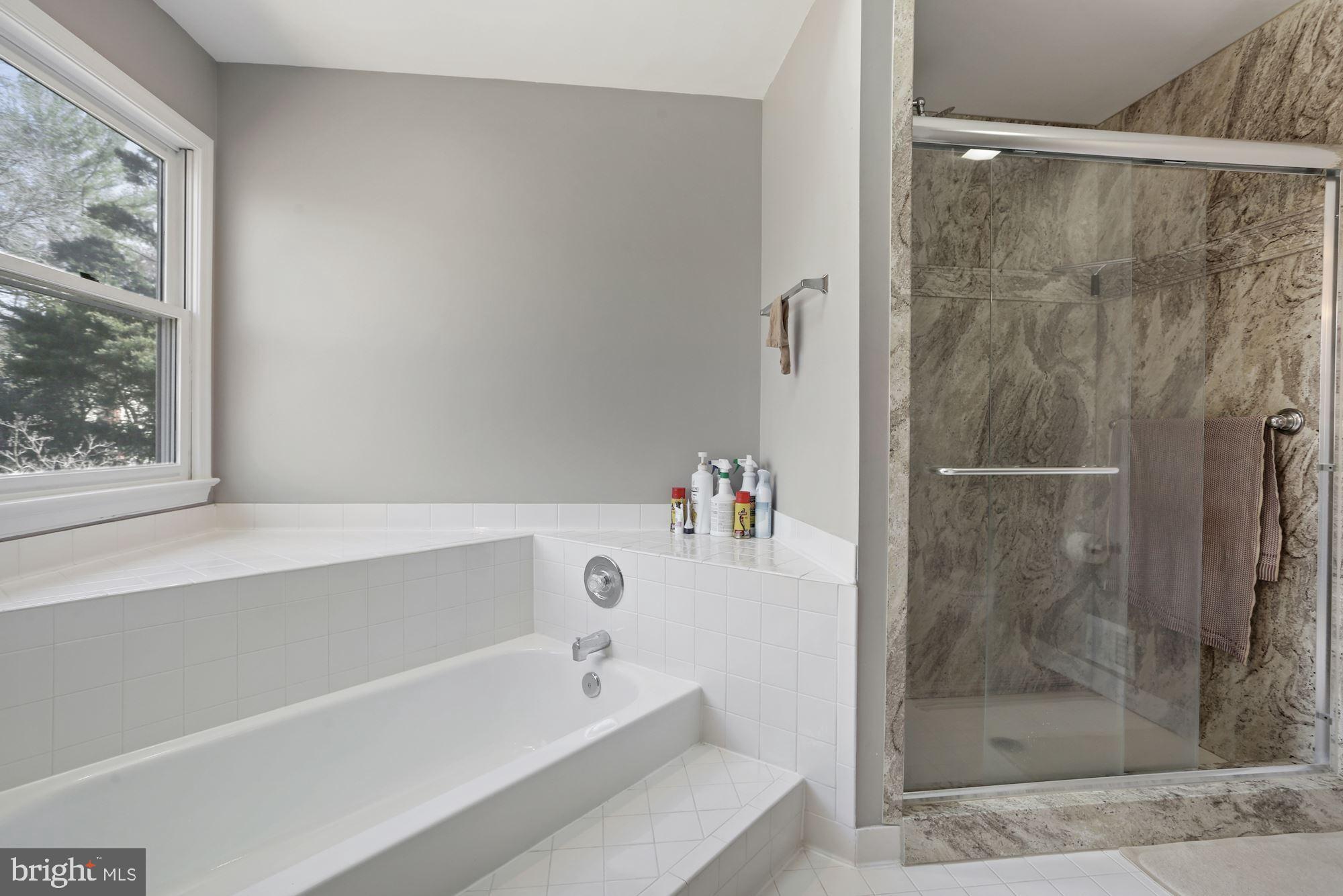 6042 Munson Hill Road Falls Church, VA 22044 - Photo 27 of 77 Tub Bath and Standing Shower