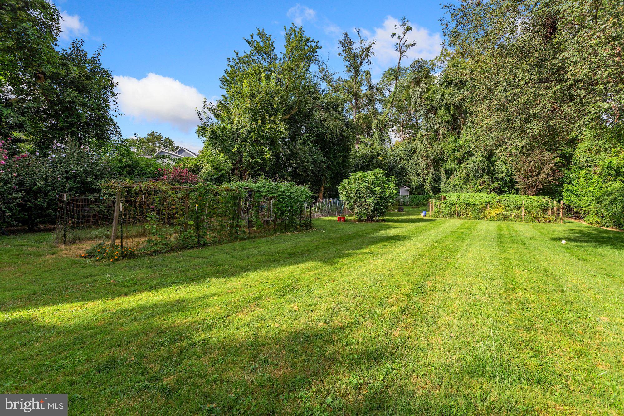 6042 Munson Hill Road Falls Church, VA 22044 - Photo 57 of 77 Backyard