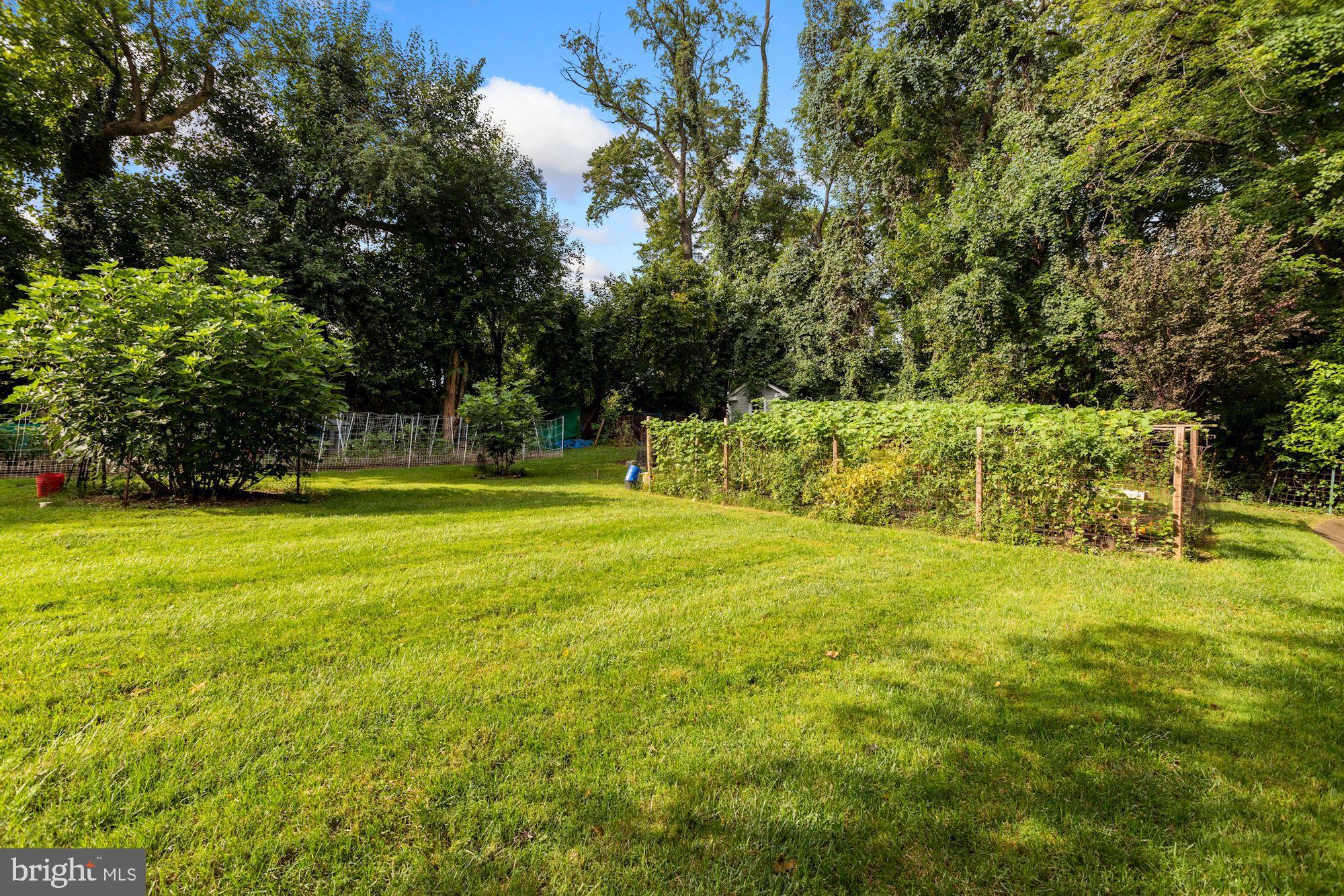 6042 Munson Hill Road Falls Church, VA 22044 - Photo 58 of 77 Backyard and Veg Garden