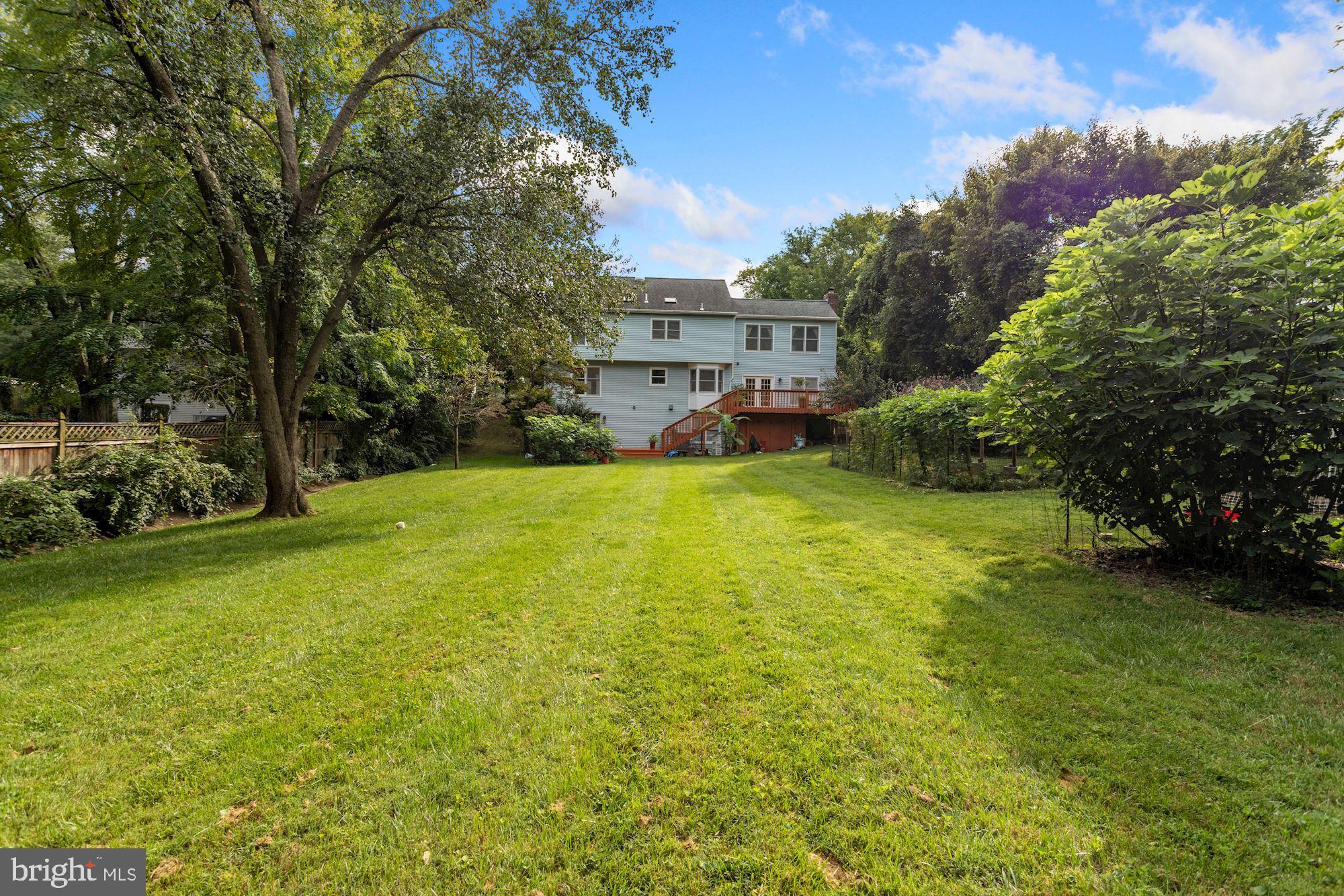 6042 Munson Hill Road Falls Church, VA 22044 - Photo 59 of 77 Huge Backyard