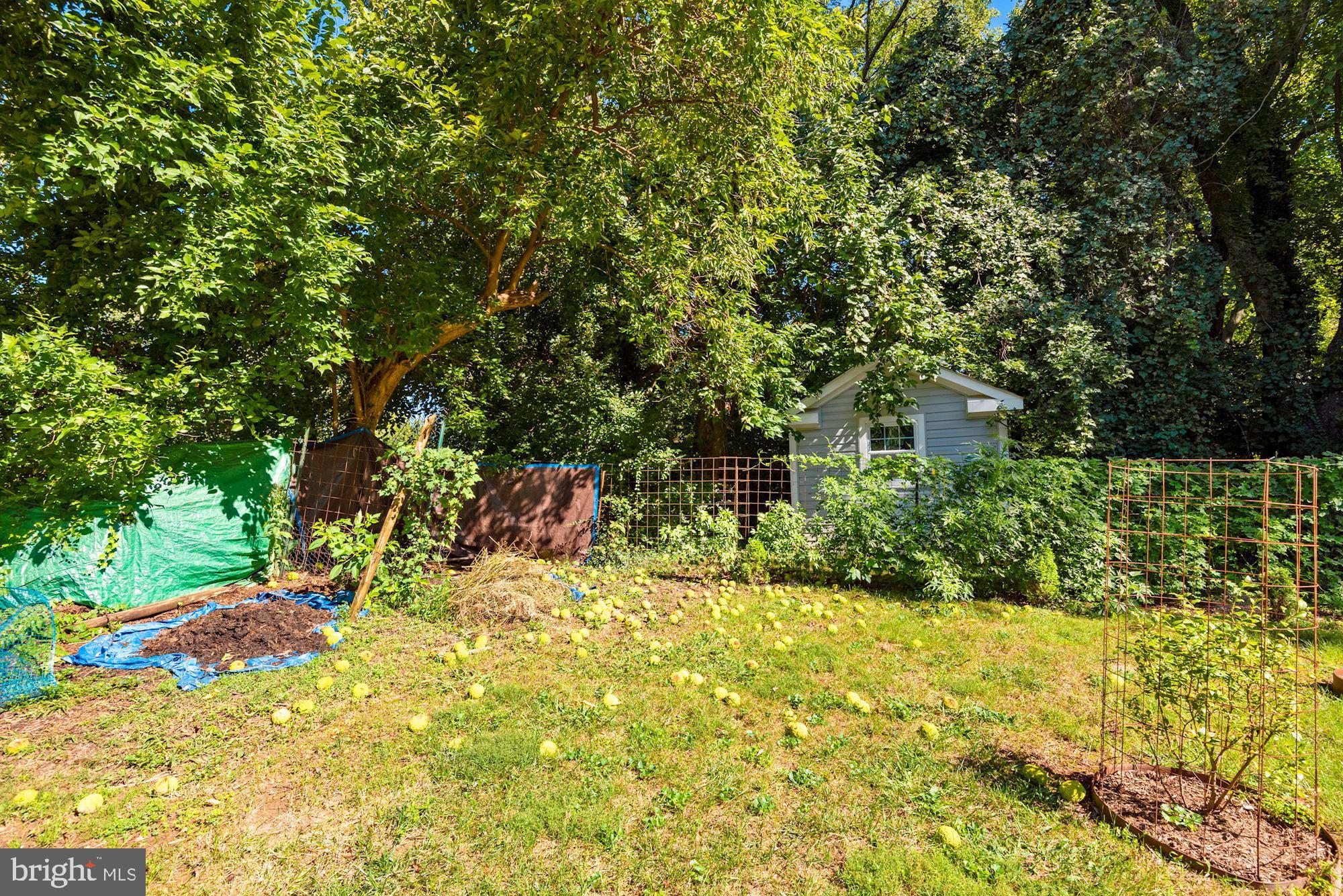 6042 Munson Hill Road Falls Church, VA 22044 - Photo 62 of 77 Backyard