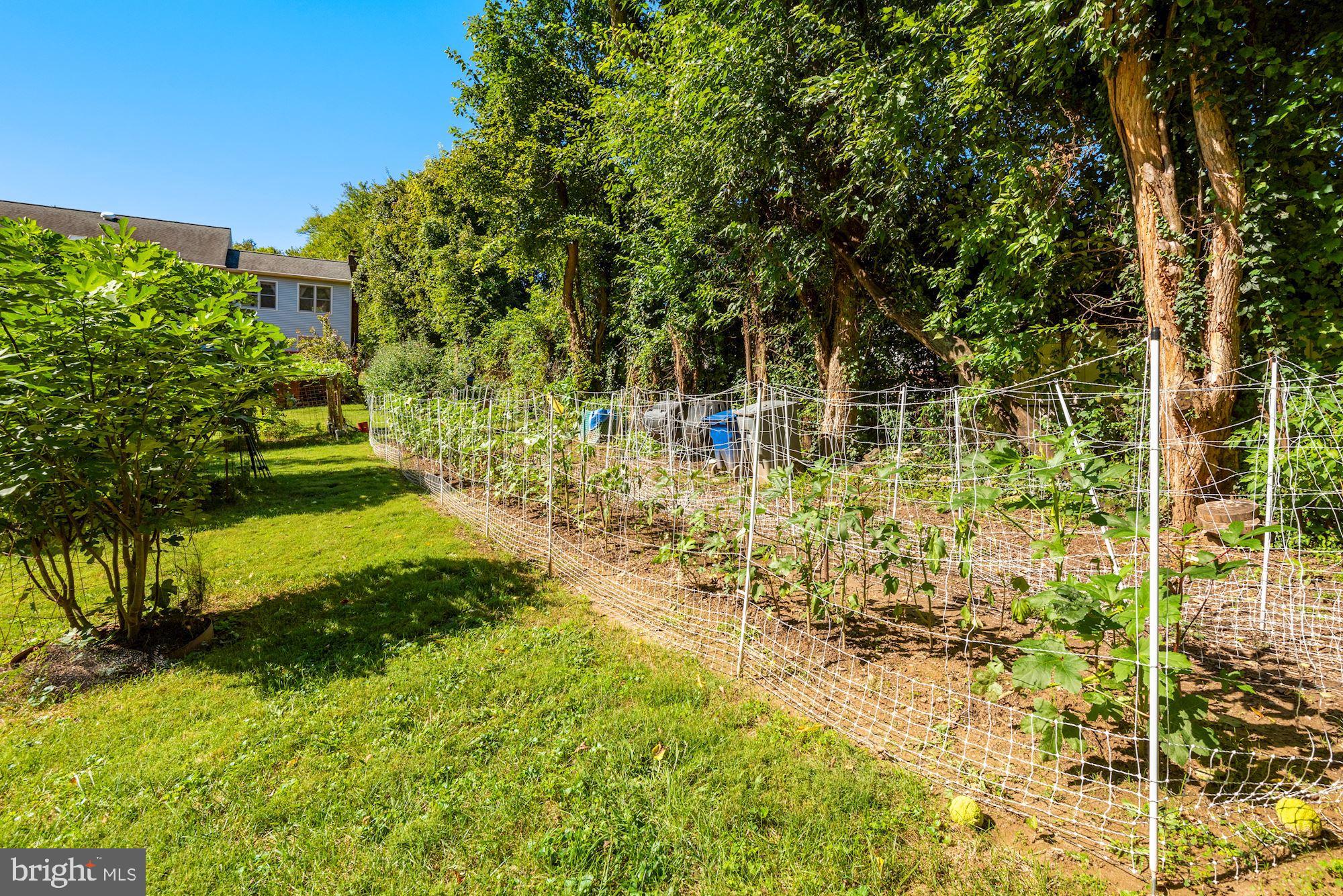 6042 Munson Hill Road Falls Church, VA 22044 - Photo 63 of 77 Veg Garden