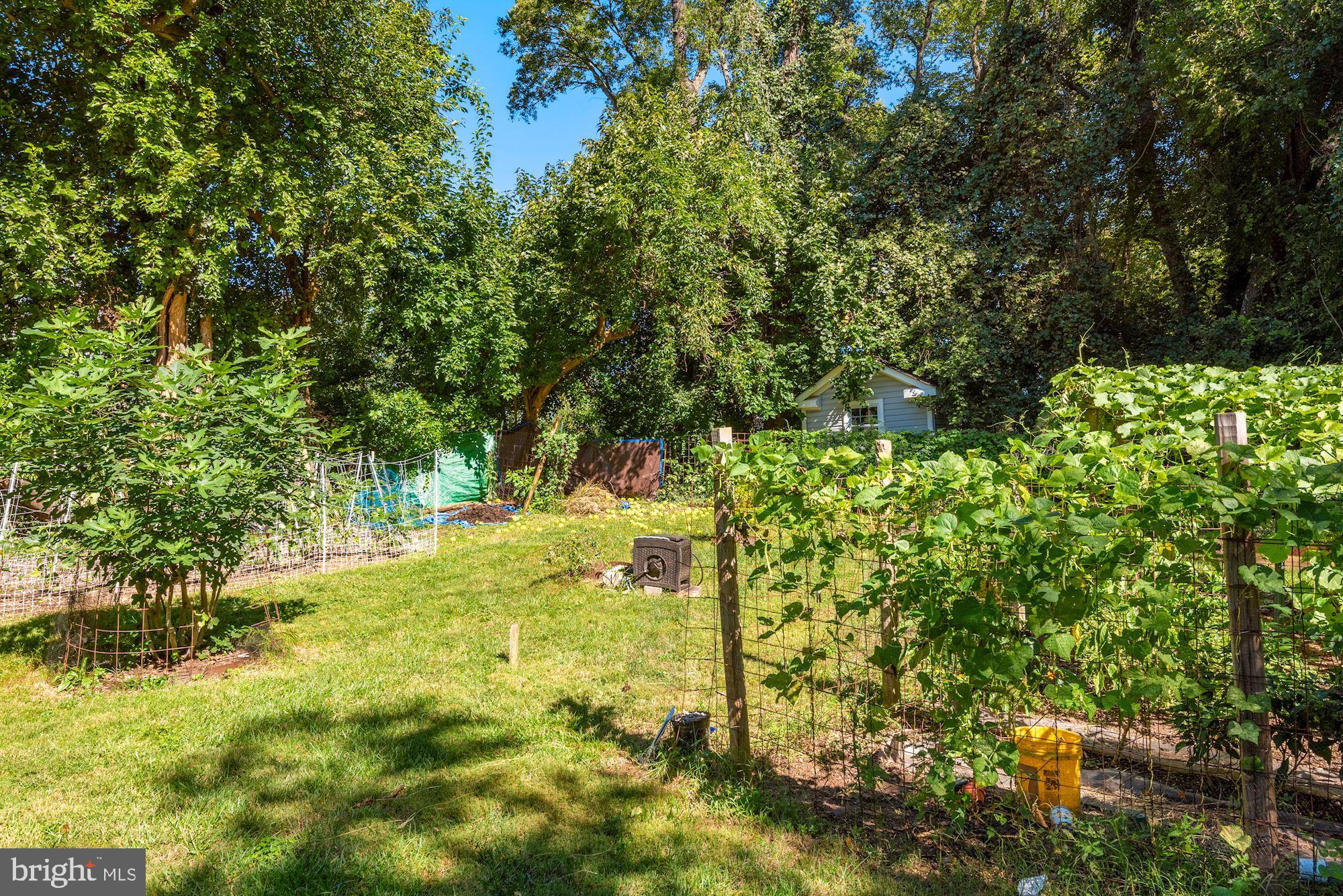 6042 Munson Hill Road Falls Church, VA 22044 - Photo 68 of 77 Veg