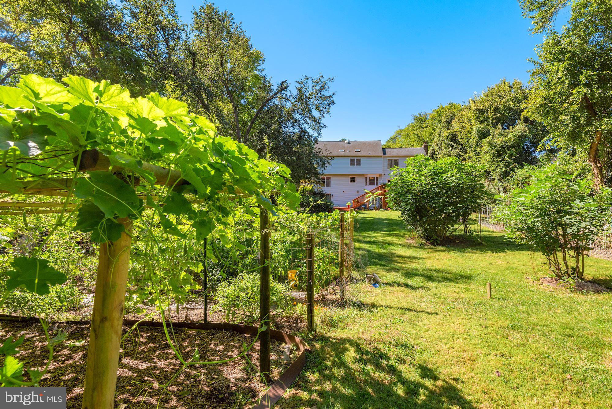 6042 Munson Hill Road Falls Church, VA 22044 - Photo 69 of 77 Backyard